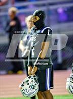 Photo from the gallery "Laguna Creek @ Franklin"