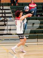 Photo from the gallery "Antelope @ Kennedy"