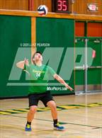 Photo from the gallery "Antelope @ Kennedy"