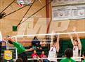 Photo from the gallery "Antelope @ Kennedy"
