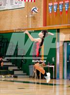 Photo from the gallery "Antelope @ Kennedy"