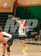 Photo from the gallery "Antelope @ Kennedy"