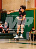 Photo from the gallery "Antelope @ Kennedy"