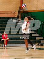 Photo from the gallery "Antelope @ Kennedy"