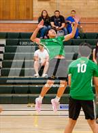 Photo from the gallery "Antelope @ Kennedy"