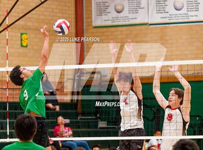 Thumbnail 3 in Antelope @ Kennedy photogallery.