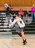 Photo from the gallery "Antelope @ Kennedy"