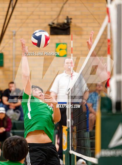 Thumbnail 3 in Antelope @ Kennedy photogallery.