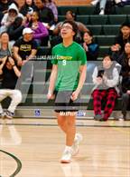 Photo from the gallery "Antelope @ Kennedy"