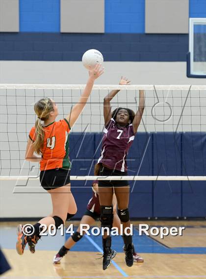 Thumbnail 1 in Mesquite @ Naaman Forrest photogallery.