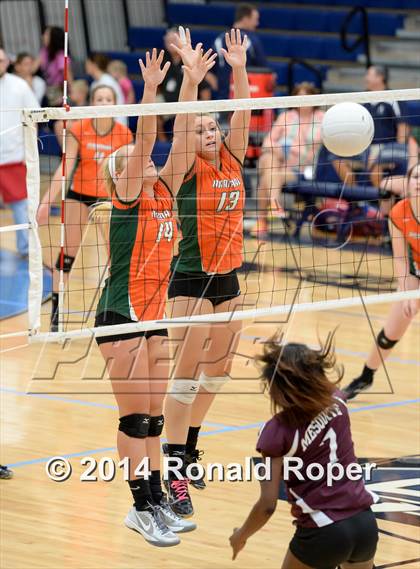Thumbnail 3 in Mesquite @ Naaman Forrest photogallery.