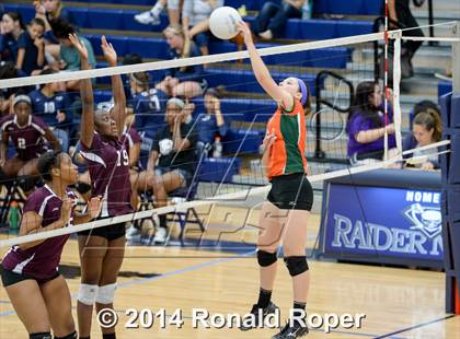Thumbnail 1 in Mesquite @ Naaman Forrest photogallery.