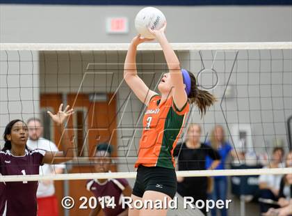 Thumbnail 3 in Mesquite @ Naaman Forrest photogallery.
