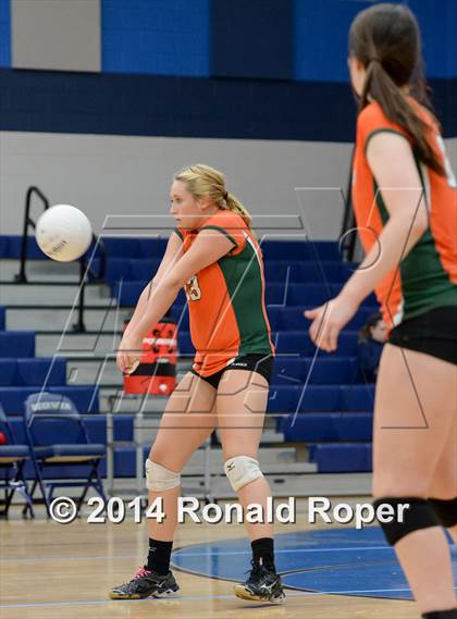 Thumbnail 3 in Mesquite @ Naaman Forrest photogallery.