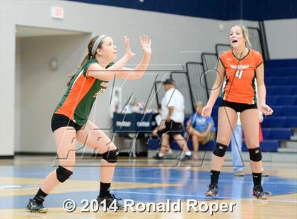 Thumbnail 1 in Mesquite @ Naaman Forrest photogallery.