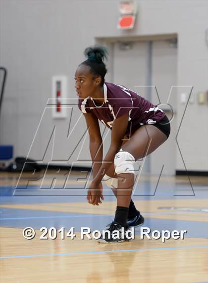 Thumbnail 1 in Mesquite @ Naaman Forrest photogallery.
