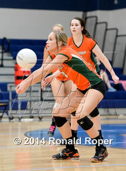 Thumbnail 3 in Mesquite @ Naaman Forrest photogallery.