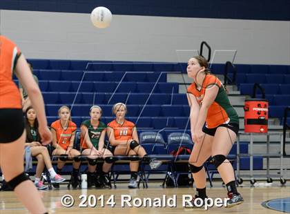 Thumbnail 3 in Mesquite @ Naaman Forrest photogallery.