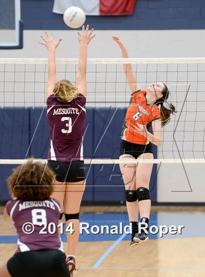Thumbnail 2 in Mesquite @ Naaman Forrest photogallery.