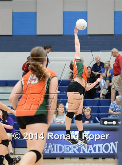 Thumbnail 3 in Mesquite @ Naaman Forrest photogallery.