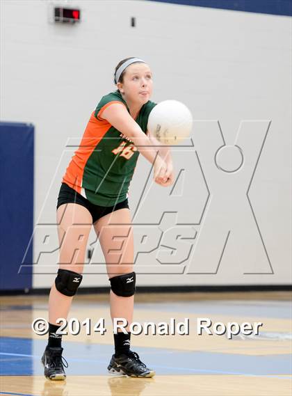 Thumbnail 3 in Mesquite @ Naaman Forrest photogallery.