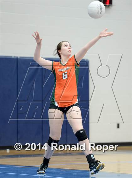 Thumbnail 3 in Mesquite @ Naaman Forrest photogallery.