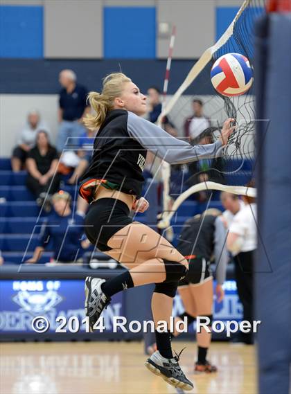 Thumbnail 2 in Mesquite @ Naaman Forrest photogallery.