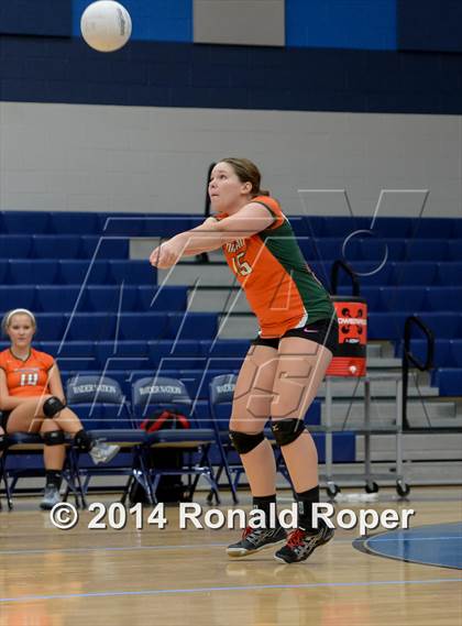 Thumbnail 2 in Mesquite @ Naaman Forrest photogallery.
