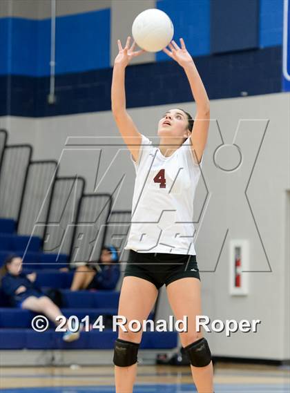 Thumbnail 1 in Mesquite @ Naaman Forrest photogallery.