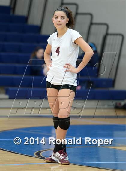 Thumbnail 3 in Mesquite @ Naaman Forrest photogallery.