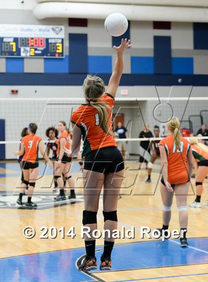Thumbnail 3 in Mesquite @ Naaman Forrest photogallery.