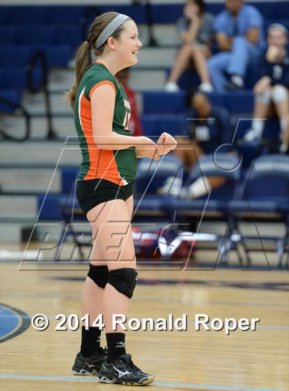 Thumbnail 1 in Mesquite @ Naaman Forrest photogallery.