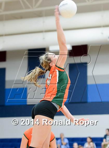 Thumbnail 1 in Mesquite @ Naaman Forrest photogallery.