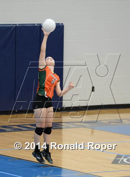 Thumbnail 1 in Mesquite @ Naaman Forrest photogallery.