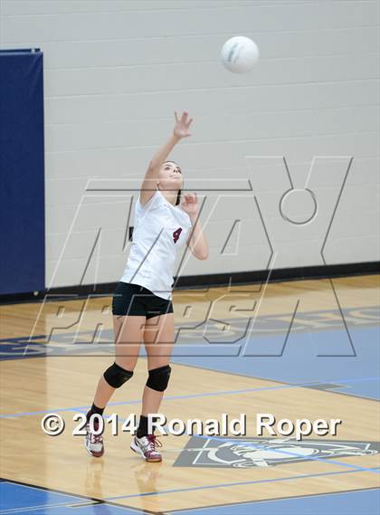 Thumbnail 1 in Mesquite @ Naaman Forrest photogallery.