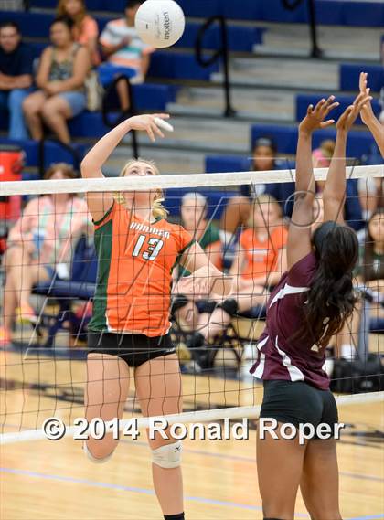 Thumbnail 1 in Mesquite @ Naaman Forrest photogallery.
