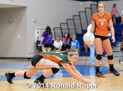 Thumbnail 3 in Mesquite @ Naaman Forrest photogallery.