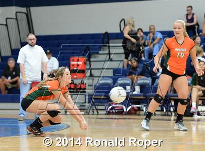 Thumbnail 1 in Mesquite @ Naaman Forrest photogallery.