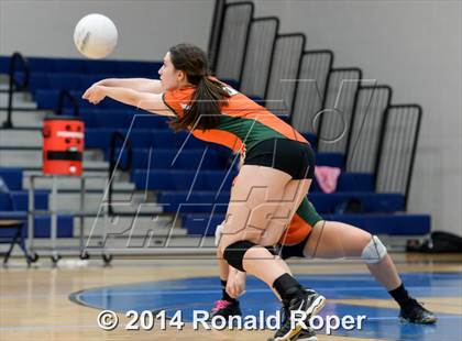 Thumbnail 1 in Mesquite @ Naaman Forrest photogallery.