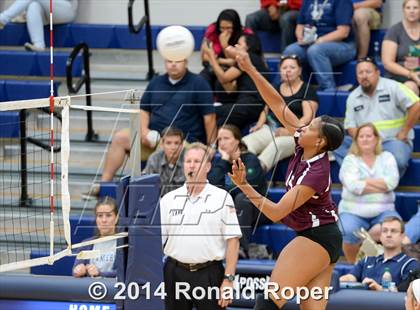 Thumbnail 2 in Mesquite @ Naaman Forrest photogallery.