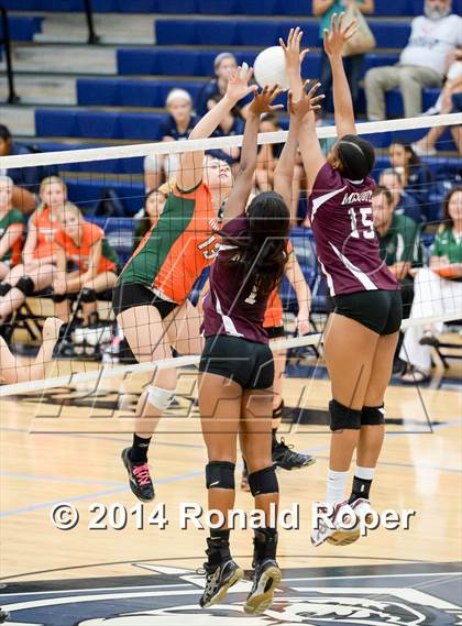 Thumbnail 2 in Mesquite @ Naaman Forrest photogallery.