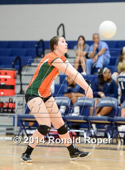 Thumbnail 1 in Mesquite @ Naaman Forrest photogallery.