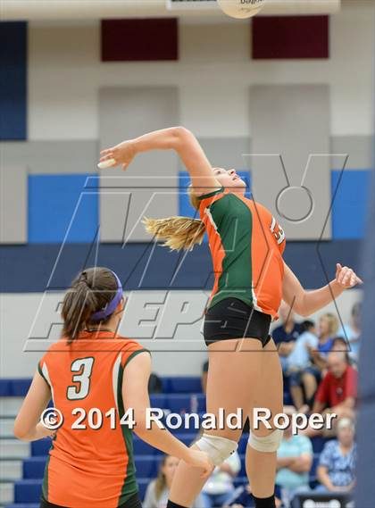 Thumbnail 2 in Mesquite @ Naaman Forrest photogallery.