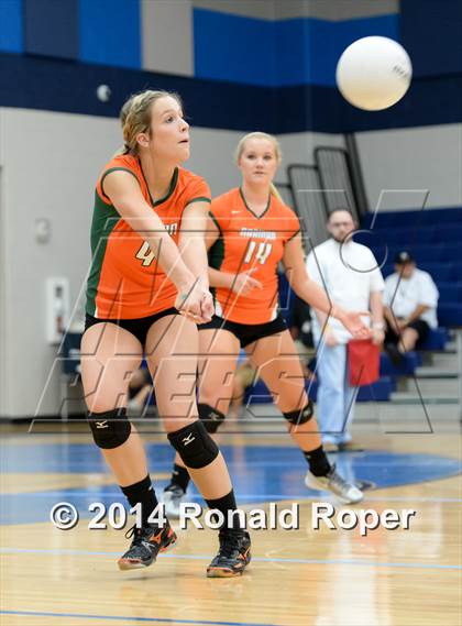 Thumbnail 3 in Mesquite @ Naaman Forrest photogallery.