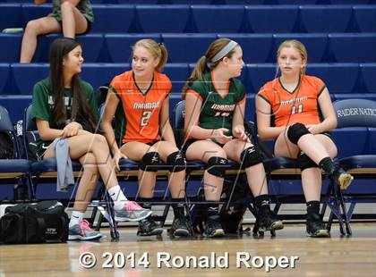Thumbnail 1 in Mesquite @ Naaman Forrest photogallery.