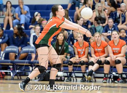 Thumbnail 2 in Mesquite @ Naaman Forrest photogallery.