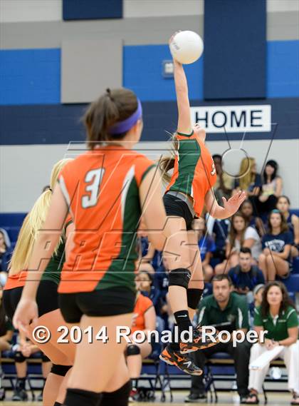 Thumbnail 2 in Mesquite @ Naaman Forrest photogallery.