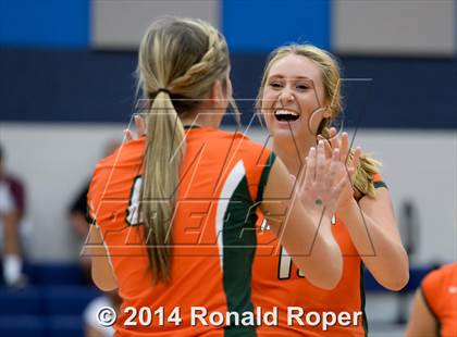 Thumbnail 1 in Mesquite @ Naaman Forrest photogallery.