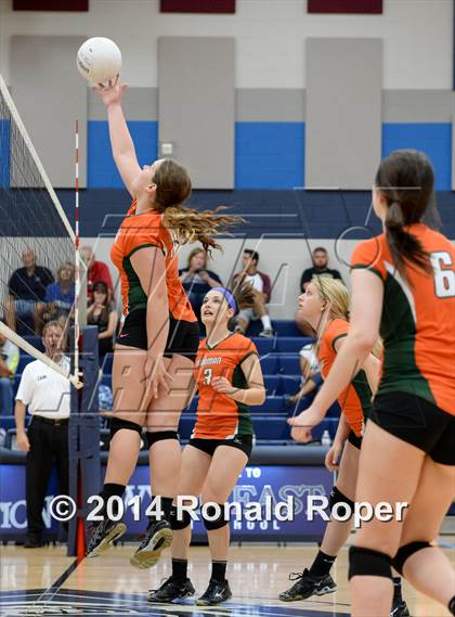 Thumbnail 2 in Mesquite @ Naaman Forrest photogallery.
