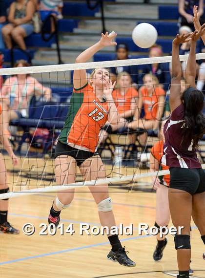 Thumbnail 1 in Mesquite @ Naaman Forrest photogallery.